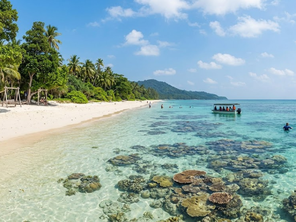 THE ISLAND STORY:ANDAMAN
